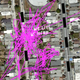 Image for article titled Lost Cat: A True Story of Love, Desperation, and GPS Technology